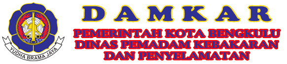 Website Resmi Dinas Pemadam Kebakaran dan Penyelamatan